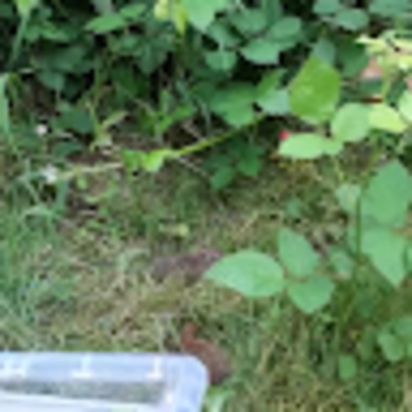 Meet your Posher, J - Picture 1 of 1